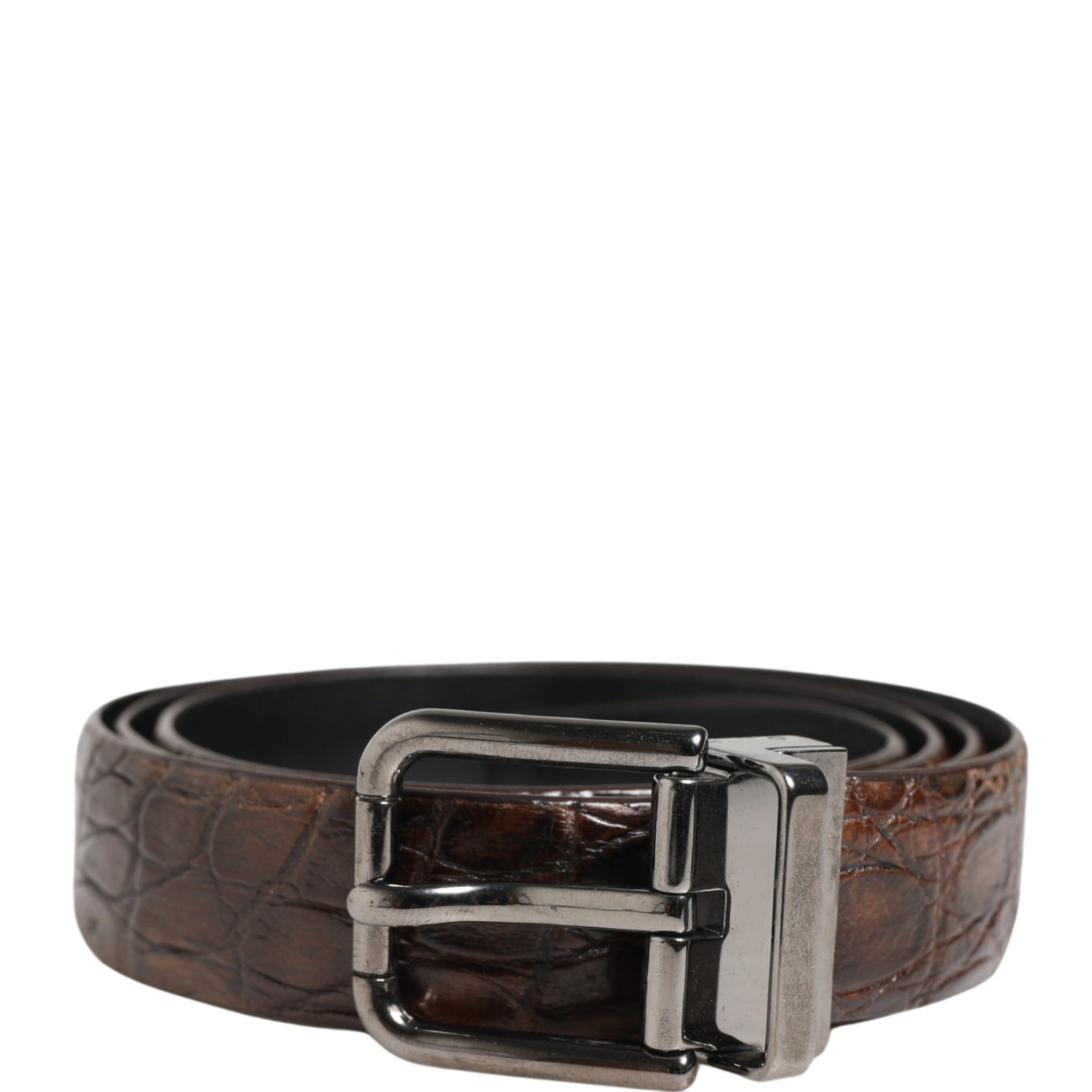 10528901.jpg