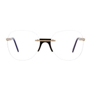Gold Metal & Plastic Glasses (Frames)
