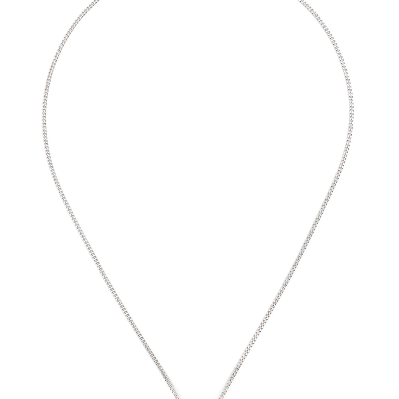 10853420.jpg