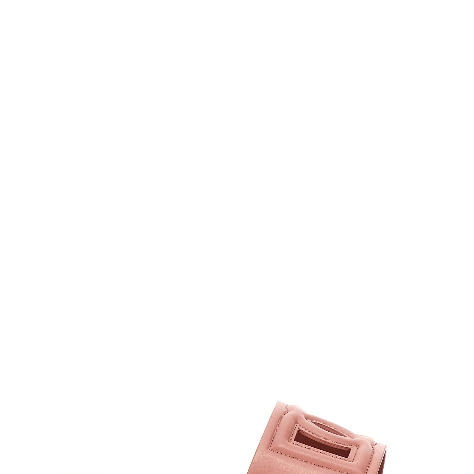 10888478.jpg