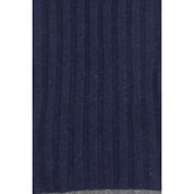 Blue Cashmere Foulard