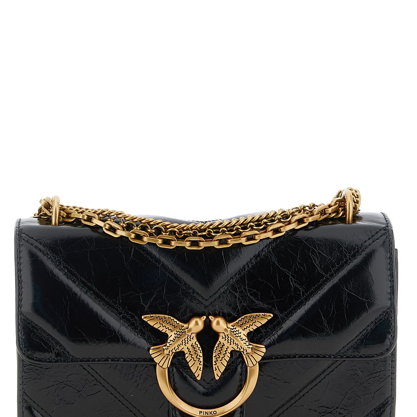 10995538.jpg