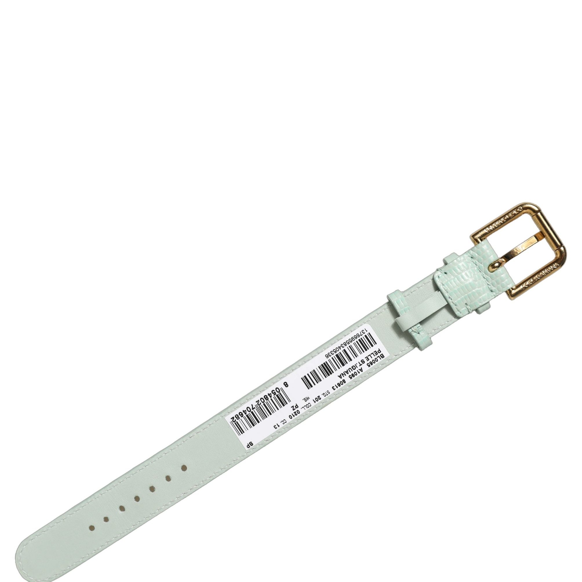 11017625.jpg