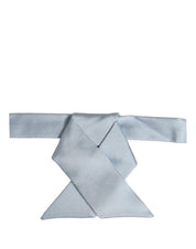 Men Light Blue SIlk Adjustable Neck Papillon Bow Tie