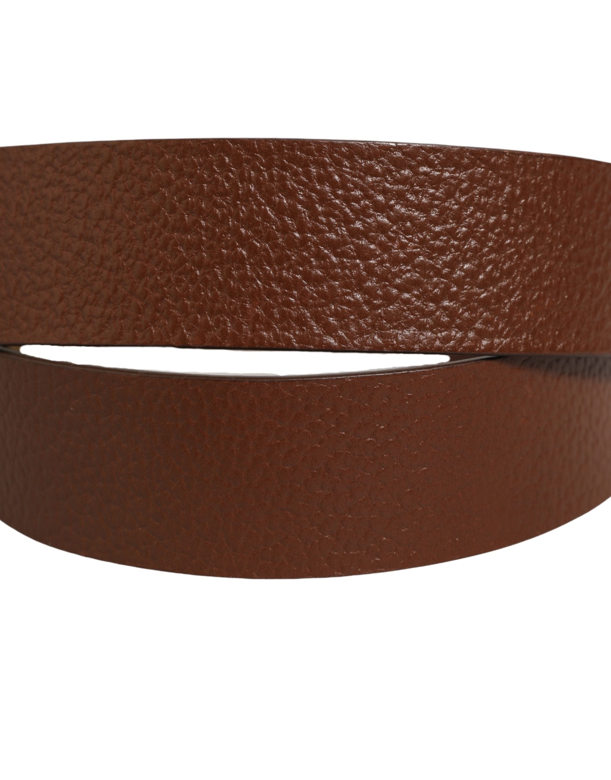 Dolce & Gabbana Brown Leather Bee Accent Metal Buckle Belt Dolce & Gabbana