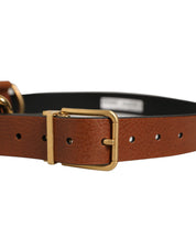 Dolce & Gabbana Brown Leather Gold Metal Rings Buckle Belt Dolce & Gabbana