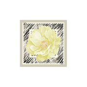 Liu Jo Gray Polyester Foulard