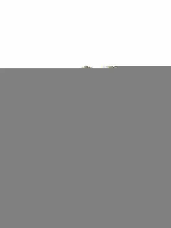 16015-ANN-W4M BORSE A TRACOLLA L’Atelier du Sac Argento 0000000345 - UNICA / Argento - BORSE A TRACOLLA