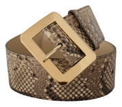 Brown Exotic Wide Waist Leather Gold Metal Buckle Belt