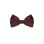 Burgundy Silk Bowtie