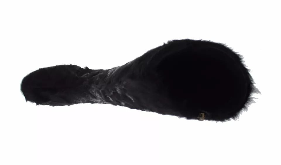 6497603.jpg