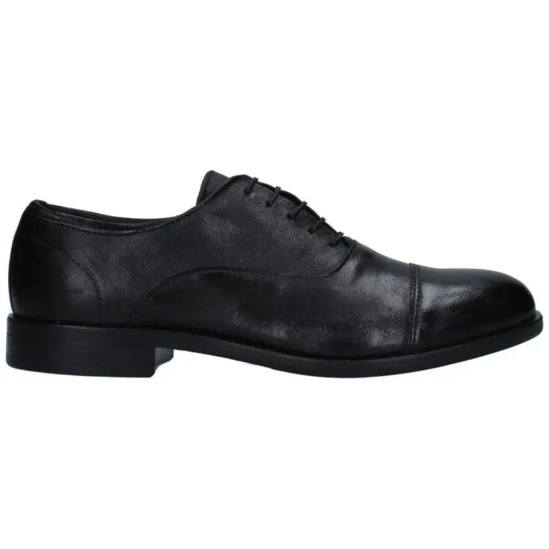 Scarpa Uomo Paul Kelly 1236 Nero Calzature Nero