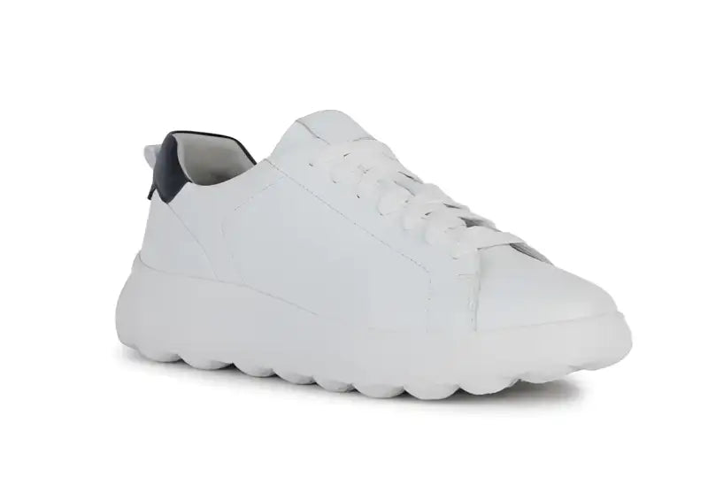 Sneaker Geox