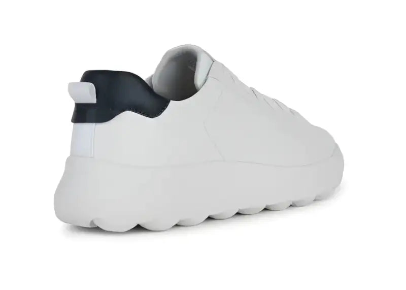 Sneaker Geox